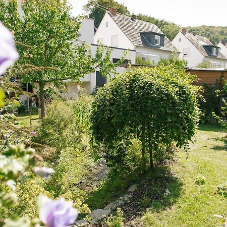 Ferienwohnung Am Breyer Talbach Exterior foto